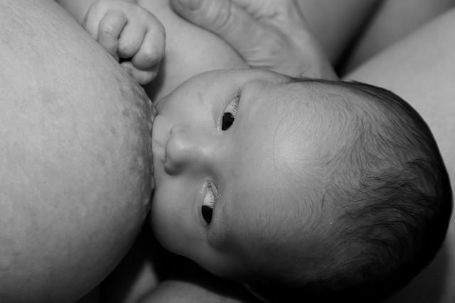 4ヶ月以上の長期完全母乳はアトピー性皮膚炎を予防しない