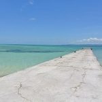 石垣島コホート:血清TARCはアトピー性皮膚炎以外のアレルギーにも関連する?