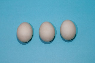 卵アレルギーの自然歴： コホート研究