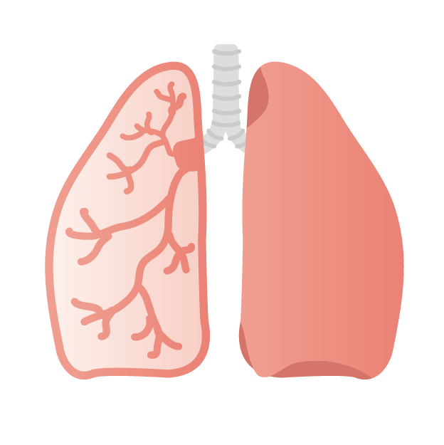 【全訳】呼気一酸化窒素(FENO)を喘息診療にどう生かすか？(第2回/全2回)