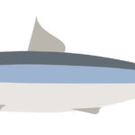 妊娠中の魚油摂取は、児の喘鳴や下気道感染のリスクを減らすかもしれない