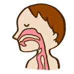 慢性副鼻腔炎に対して、鼻腔内ステロイド薬は効果があるか： コクランシステマティックレビュー