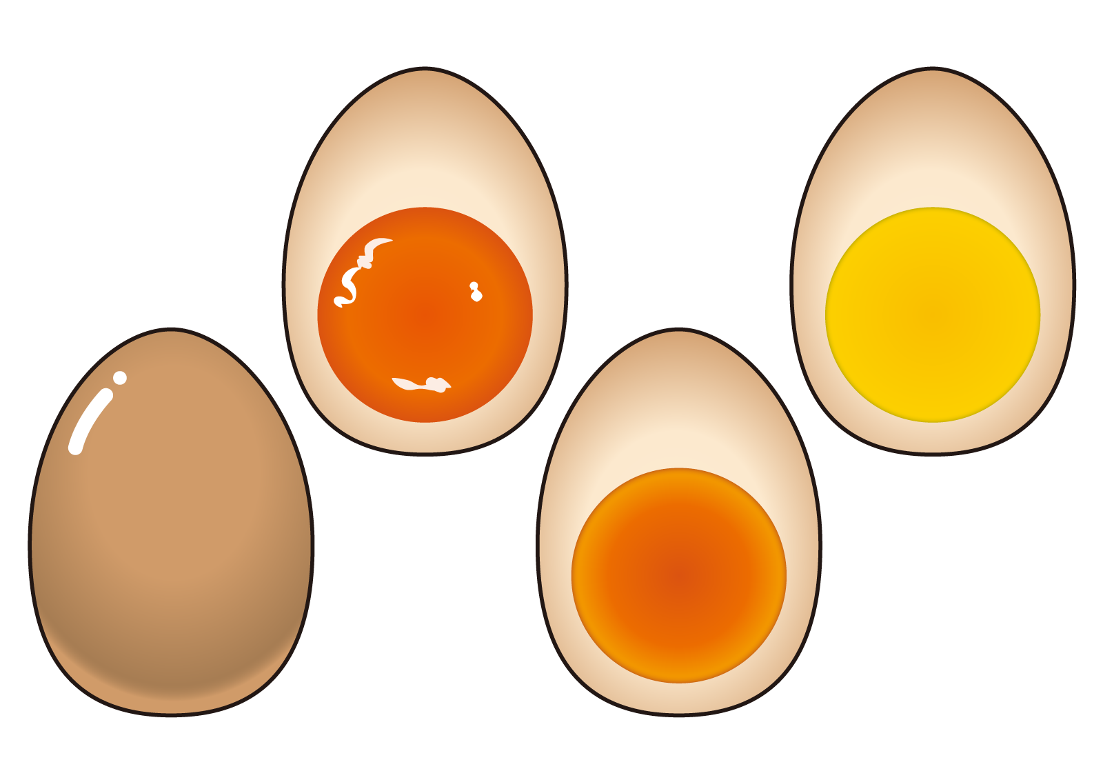 卵の離乳食早期導入と卵アレルギー予防：メタアナリシス