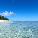 フィラグリン遺伝子変異は、気候によってはアトピー性皮膚炎の素因にならない