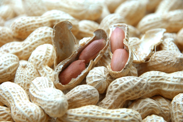 少ない量で維持をするピーナッツ免疫療法は有効か？