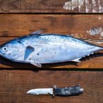 手湿疹のまま魚を扱った仕事を継続すると、魚アレルギーを発症しやすくなる？