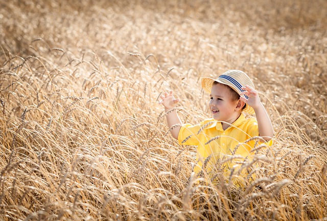 小麦アレルギーは、いつ頃改善するか？