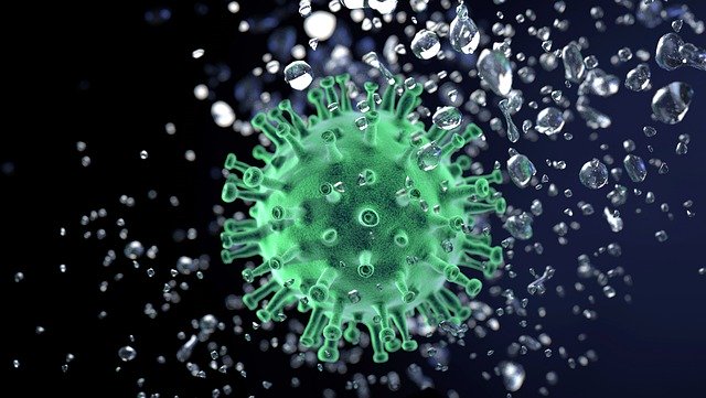 新型コロナウイルス感染(COVID-19)の関連が疑われる『川崎病ショック症候群』の8例