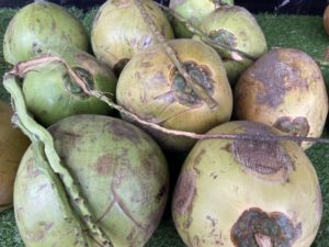 ココナッツアレルギーの特徴は？