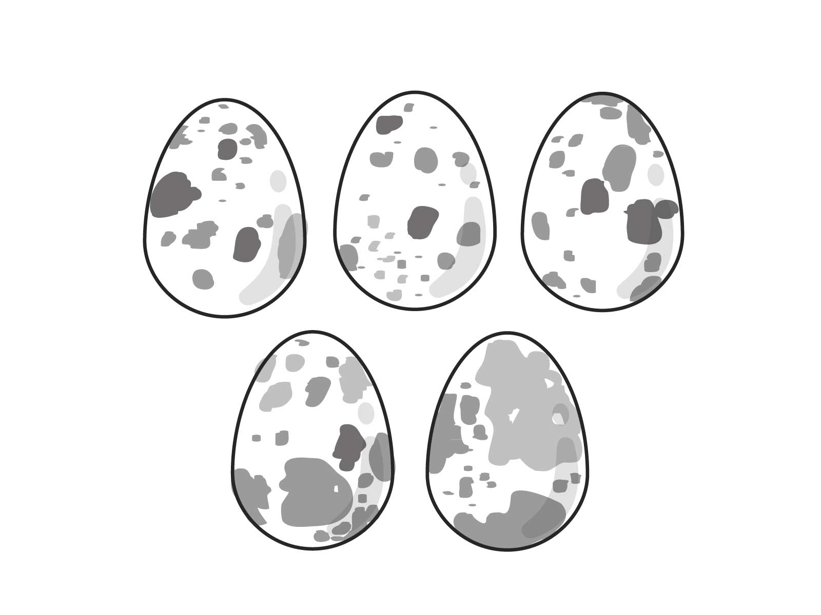 鶏卵を食べられるようになった児は、ウズラ卵を摂取できる可能性が高い