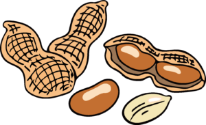 加熱ピーナッツによる経口免疫療法？